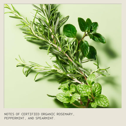 Aveda Rosemary Mint Purifying Shampoo 97% Naturally Derived