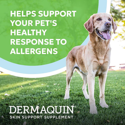 Nutramax Dermaquin Skin Support Soft Chews for Large Dogs 60 Count