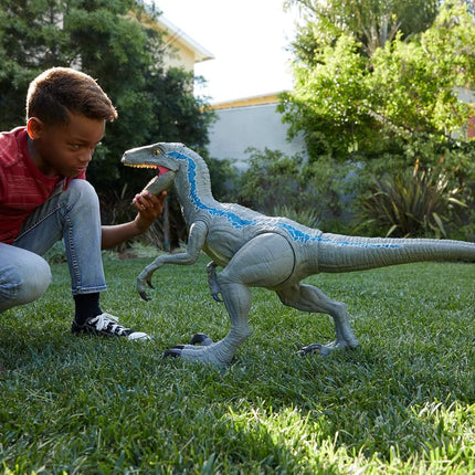 Mattel Jurassic World Super Colossal Velociraptor Blue Figure – 3.5 ft Dinosaur Toy with Eating Feature