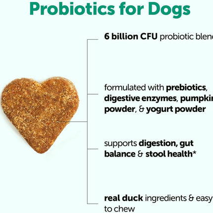Micro Ingredients Probiotics for Dogs Soft Chews – 6 Billion CFU with Prebiotics, Enzymes & Pumpkin, Duck Flavor, 240 Count