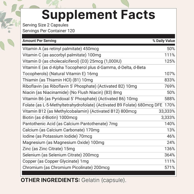 Micro Ingredients Methylated Multivitamin 19-in-1 Non-GMO 240 Capsules