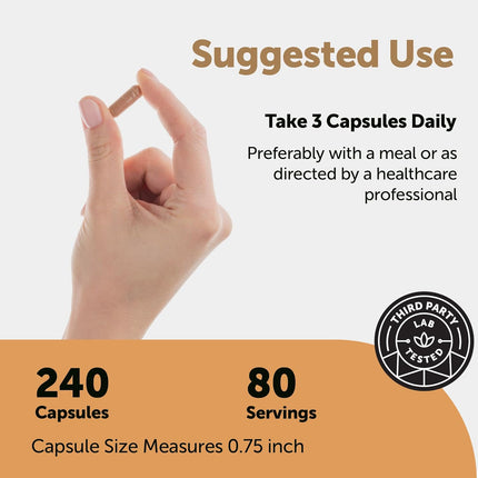 Micro Ingredients Nattokinase - 240 Veg Capsules
