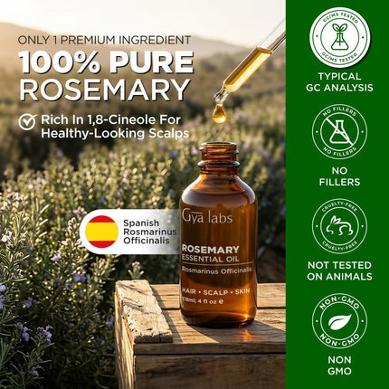 Gya Labs 100% Pure Rosemary Essential Oil 4 fl oz