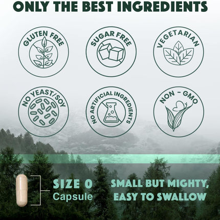 Natural Rhythm Triple Calm Magnesium Complex – Chelated Magnesium Glycinate, Taurate & Malate, 120 Vegan Capsules