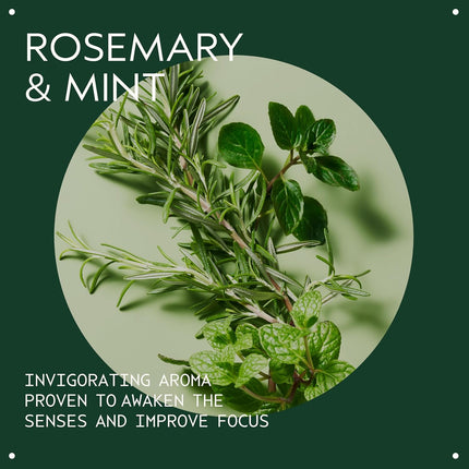 Aveda Rosemary Mint Purifying Shampoo 97% Naturally Derived
