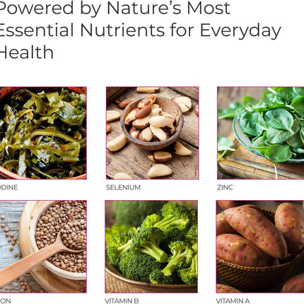 Livingood Daily Methylated Multivitamin with B Vitamins & Minerals 60 Capsules