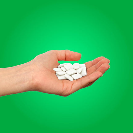 PUR Spearmint Chewing Gum Aspartame Free with Xylitol 55 Pieces