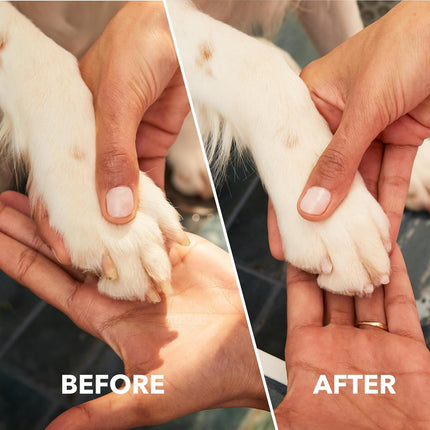 Dremel PawControl 7760-PET Dog Nail Grinder Kit – Cordless Rechargeable Pet Grooming Tool