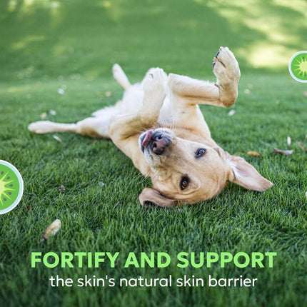 Nutramax Dermaquin Skin Support Soft Chews for Large Dogs 60 Count