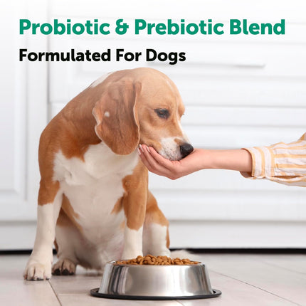 Micro Ingredients Probiotics for Dogs Soft Chews – 6 Billion CFU with Prebiotics, Enzymes & Pumpkin, Duck Flavor, 240 Count
