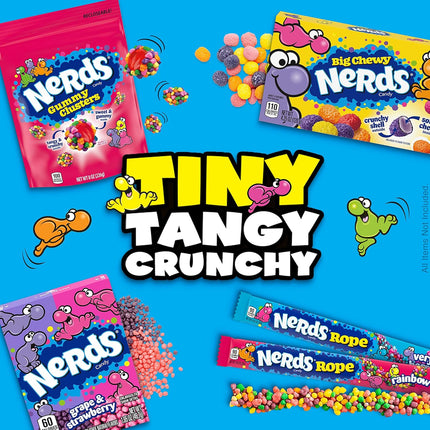 NERDS Rope Rainbow Candy 0.92 oz 24 Pack