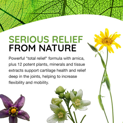 T-Relief Arnica +12 (100 Count, 2-Pack)