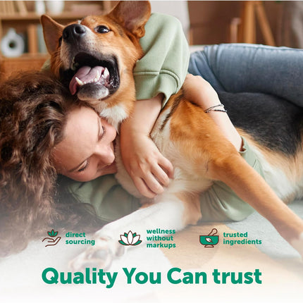 Micro Ingredients Probiotics for Dogs Soft Chews – 6 Billion CFU with Prebiotics, Enzymes & Pumpkin, Duck Flavor, 240 Count