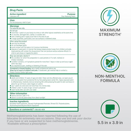 Biofreeze Lidocaine Patches (4 Count)