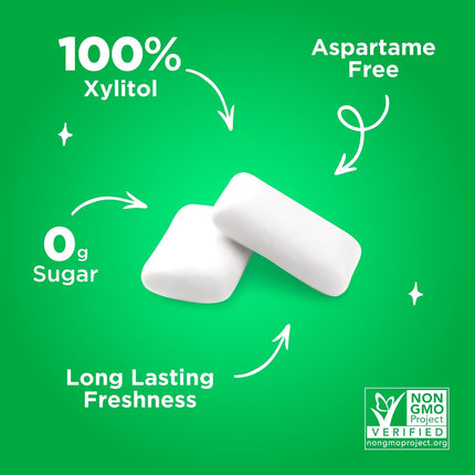 PUR Spearmint Chewing Gum Aspartame Free with Xylitol 55 Pieces