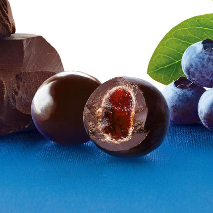 Brookside Dark Chocolate Acai & Blueberry Flavored Snacking Chocolate – Fruit Centers, 21 oz Bag