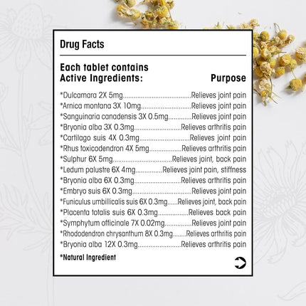 T-Relief Arnica +12 (100 Count, 2-Pack)