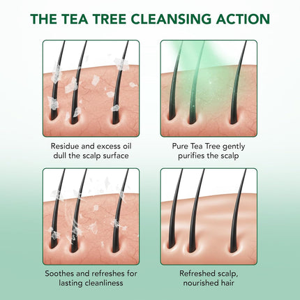 Botanic Hearth Tea Tree Shampoo and Conditioner Set Sulfate Free 16 fl oz