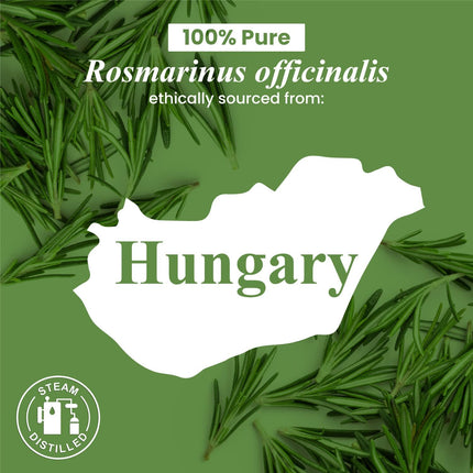 Handcraft Blends Rosemary Essential Oil 100% Pure & Natural Premium Grade 4 fl oz