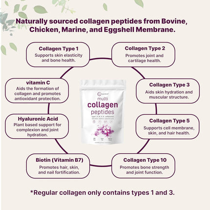 Micro Ingredients Multi Collagen Peptides Powder 2 lb – Types I, II, III, V & X with Biotin, Hyaluronic Acid & Vitamin C, Unflavored
